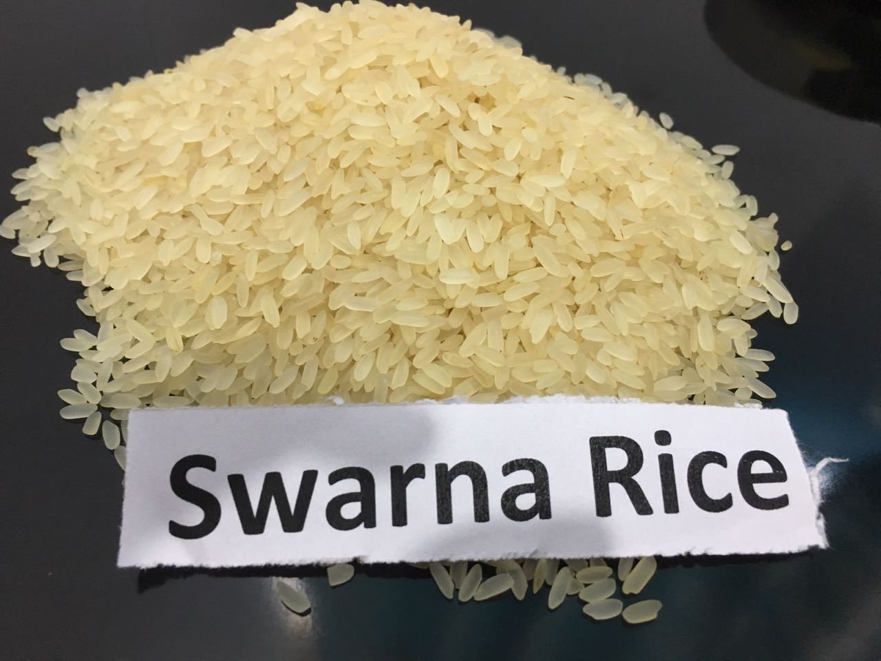 The Swarna (MTU 7029) Rice Family